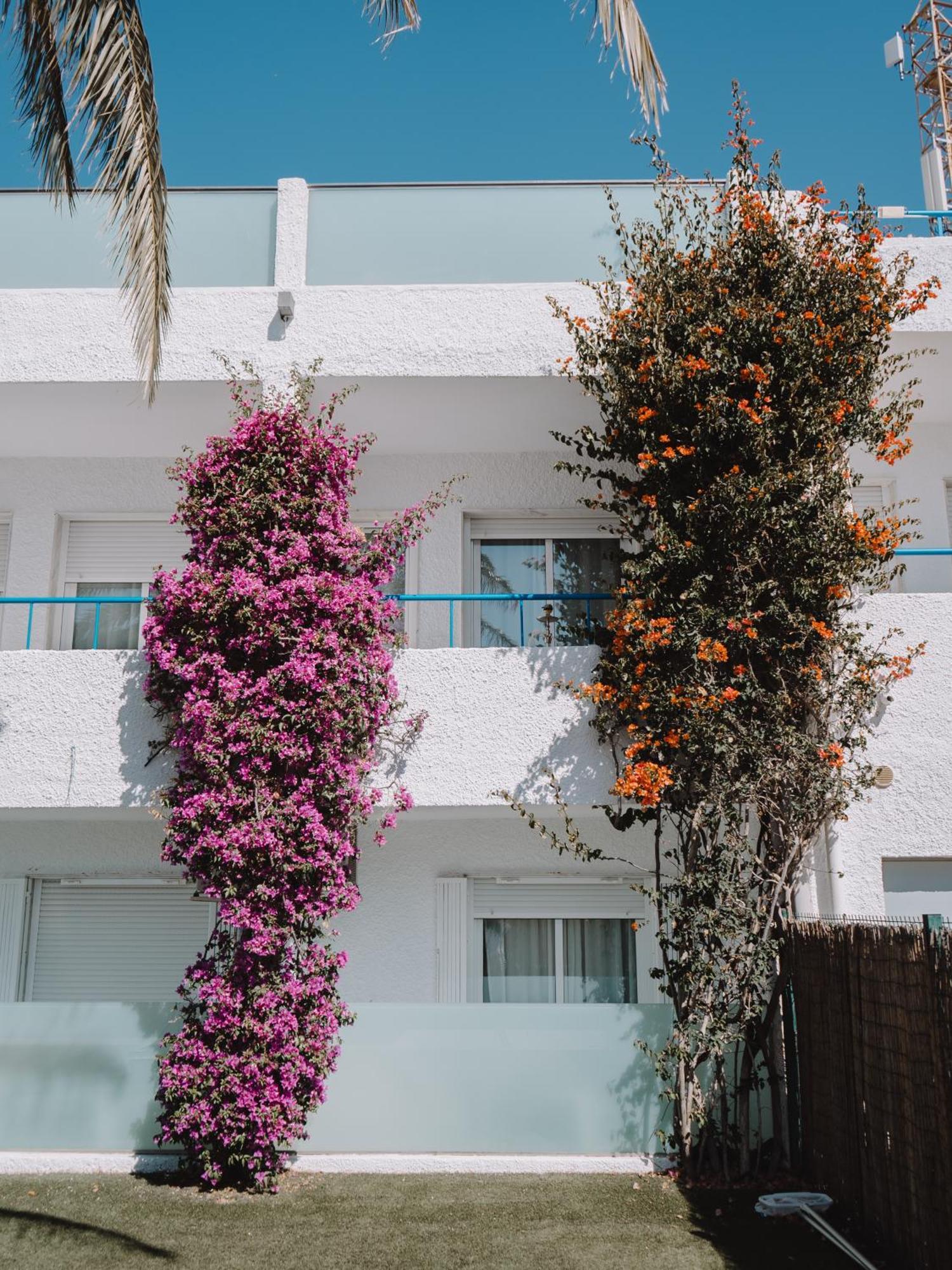 Hostal Las Gaviotas Del Cabo San José Eksteriør billede