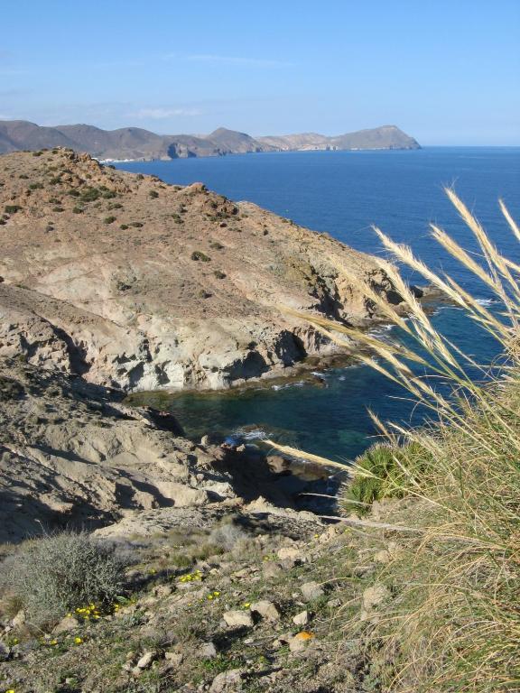 Hostal Las Gaviotas Del Cabo San José Eksteriør billede
